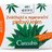 BC BIO Cannabis KRÉM Regeneračný pleťový zvláčňujúci 1x51 ml obrázok