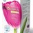 BIOMIN BioBalance MENOPAUSE cps 1x120 ks obrázok