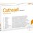 CATHEJELL LIDOCAIN C gel urt (lidokaínová instilácia 12,5 g) 1x25 ks obrázok