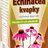 JutaVit Echinacea kvapky 1x50 ml obrázok