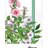 NaturProdukt Sirup pre dýchacie cesty, pokojnú noc sirup 1x200 ml obrázok