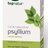 topnatur PSYLLIUM VLÁKNINA prášok 1x100 g obrázok