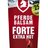 VIRDE PFERDE BALSAM FORTE EXTRA HOT 1x200 ml obrázok