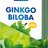 VITAR GINKGO BILOBA FORTE DUOPACK cps 2x60 (120 ks) obrázok