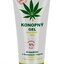 ALPA KONOPNÝ GÉL masážny s konopným olejom 1x100 ml obrázok