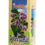 APOTHEKE ČAJ PRE DOBRÚ PAMÄŤ GINKGO BILOBA 20x1,5 g (30 g) obrázok
