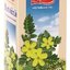 APOTHEKE Kotvičník zemný záparové vrecká 20x1,5 g (30 g) obrázok