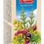 APOTHEKE UROLOGICKÝ ČAJ S BRUSNICOU 20x1,5 g (30 g) obrázok