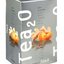 Biogena Tea2O Zázvor & Mandarínka ovocno-bylinná zmes 20x2,5 g (50 g) obrázok