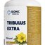 BIOMIC TRIBULUS extra cps 1x90 ks obrázok