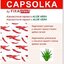 CAPSOLKA hrejivá kapsaicínová náplasť s ALOE VERA 13 x 18 cm, 1x2 ks obrázok