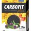 CARBOFIT Plus cps 1x60 ks obrázok