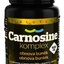 Carnosine komplex 900 mg SALUTEM tbl 1x60 ks obrázok