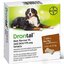 Drontal Dog Flavour XL 525/504/175 mg tablety tbl 1x2 ks obrázok