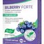 Evalar BILBERRY FORTE tbl 1x50 ks obrázok
