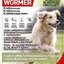 FRONTCONTROL WORMER XL na odčervenie, tablety pre psy 1x2 ks obrázok