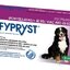 FYPRYST 402 mg PSY NAD 40 KG roztok na kvapkanie na kožu pre psov (pipeta) 1x4,02 ml obrázok