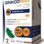 GINKGO MAX + LECITIN - DA VINCI cps 1x60 ks obrázok