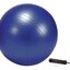 GYMY REHABILITAČNÁ LOPTA ABS 55 cm + pumpa fialová 1x1 set obrázok