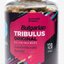 HEPATICA Bulgarian TRIBULUS Original cps extrakt kotvičníka zemného 1x120 ks obrázok