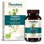 Himalaya Organická BACOPA Organic Bacopa cps 1x60 ks obrázok
