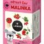 LEROS DETSKÝ ČAJ MALINKA nálevové vrecká (od 6+ mesiacov) (inov. 2021) 20x2 g (40 g) obrázok