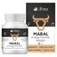 Liftea MARAL energy booster tbl 1x60 ks obrázok