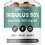 MOVit TRIBULUS 90% Kotvičník 500 mg 4v1 cps 1x90 ks obrázok