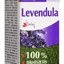 NATURLAND 100% ÉTERICKÝ OLEJ LEVANDUĽA 1x10 ml obrázok