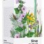 NaturProdukt Sirup pre dýchacie cesty sirup 1x200 ml obrázok