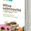 PLUS LEKÁREN Hliva ustricovitá cps (+ Echinacea + rakytník + selén + zinok) 1x60 ks obrázok