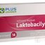 PLUS LEKÁREŇ Laktobacily 9 cps 1x14 ks obrázok