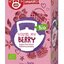 TEEKANNE ORGANICS BIO YOU´RE MY BERRY ovocno-bylinný čaj, maliny a brusnice 20x2,25 g (45 g) obrázok