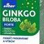 VITAR GINKGO BILOBA FORTE cps + ženšen + zelený čaj + vitamín B6 60+30 ks (50 % navyše) (90 ks) obrázok