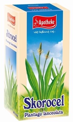 APOTHEKE Jitrocel kopinatý záparové sáčky 20x1,5 g (30 g)