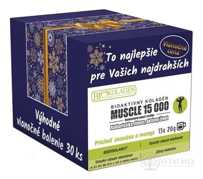 asp BIOAKTIVNÍ KOLAGEN MUSCLE Vánoce nápoj v prášku, sáčky 30x20 g (600 g)