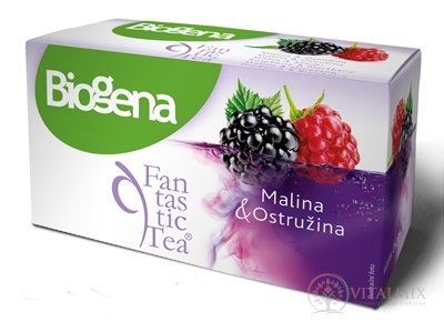 Biogena Fantastic Tea Malina &amp; Ostružina ovocný čaj 20x2,2 g (44 g)