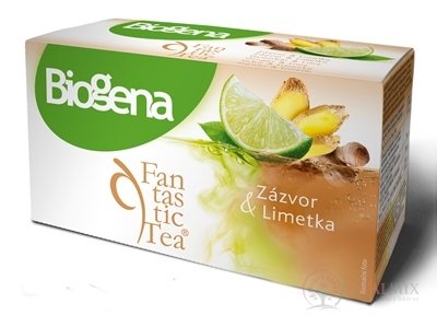 Biogena Fantastic Tea Zázvor &amp; Limetka ovocný čaj 20x2 g (40 g)