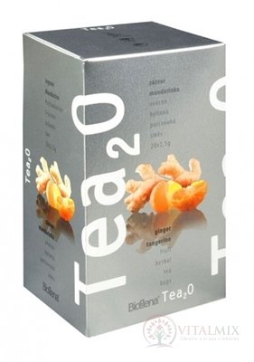 Tea2O Zázvor &amp; Mandarinka ovocno-bylinná směs 20x2,5 g (50 g)