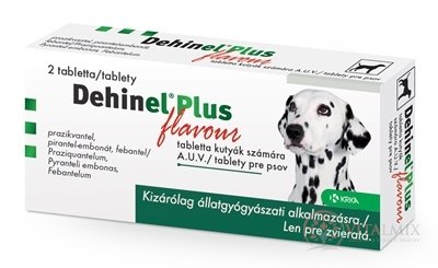 DEHINEL PLUS FLAVOUR tbl 1x2 ks