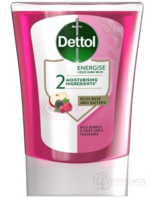 Dettol Náplň do bezdotykového dávkovače lesní ovoce 1x250 ml