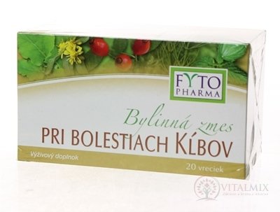 FYTO Bylinná směs při bolestech kloubů 20x1,25 g (25 g)