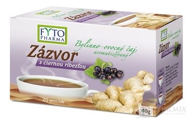FYTO Zázvor s černou rybízem 20x2 g (40 g)