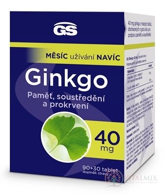 GS Ginkgo 40 mg tbl (s Gotu kola) 90+30 zdarma (120 ks)
