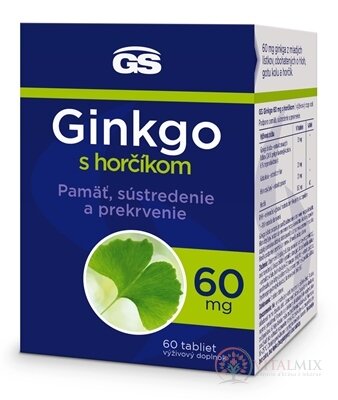 GS Ginkgo 60 mg s hořčíkem tbl 1x60 ks