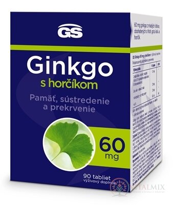 GS Ginkgo 60 mg s hořčíkem tbl 1x90 ks
