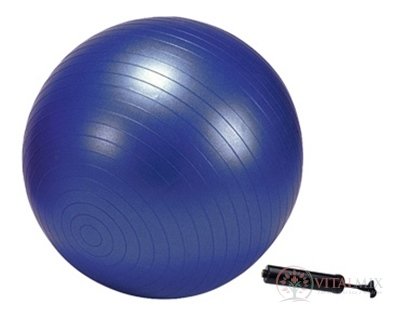 GYMY rehabilitačním míči ABS 55 cm + pumpa fialová 1x1 set