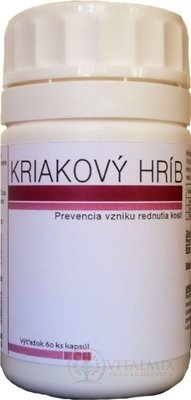 KŘÁKOVÝ HŘIB cps mol 1x60 ks