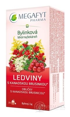 MEGAFYT Bylinková lékárna LEVLINY s kanadskou brusinkou, bylinný čaj (inov.2024) 20x1,5 g (30 g)