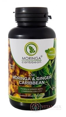 Moringa Dia Moringa &amp; GINGER Caribbean cps 1x120 ks